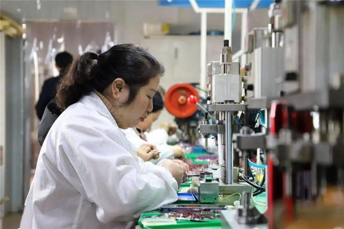 共創市級高新區 金特電子以創新提升效益，以擔當回饋社會