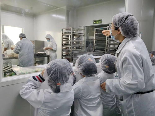 探訪優(yōu)壹朵焙滋特中央工廠 社會(huì)實(shí)踐中的社會(huì)經(jīng)濟(jì)啟示